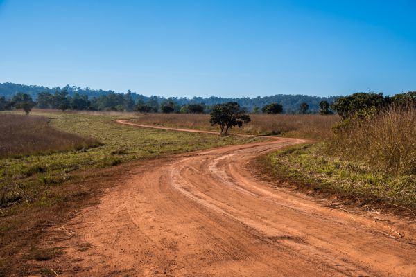 Dirt Driveway Repair in Dunnellon