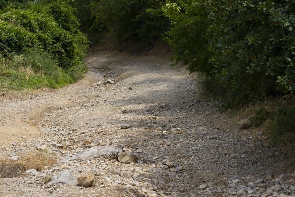 Gravel Road Pothole Repair in Dunnellon