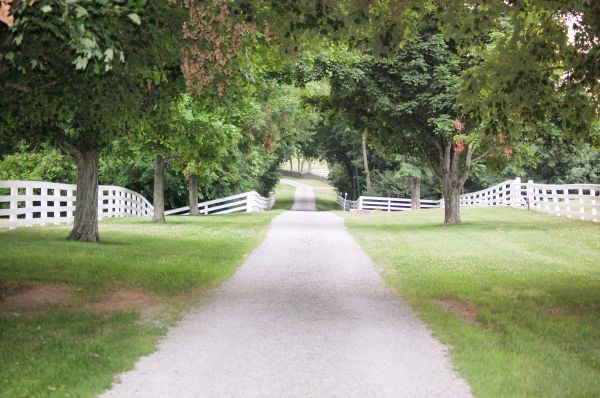 Gravel Driveway Construction in Dunnellon
