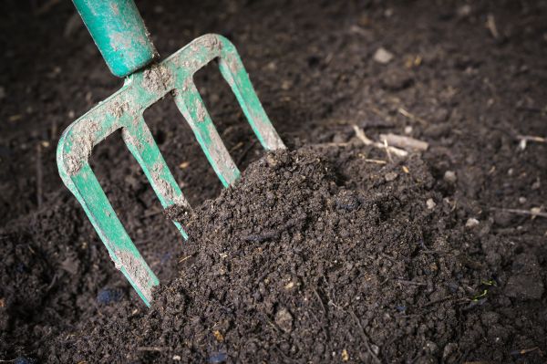 Topsoil Spreading in Dunnellon