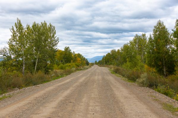 Dirt Road Repair in Dunnellon