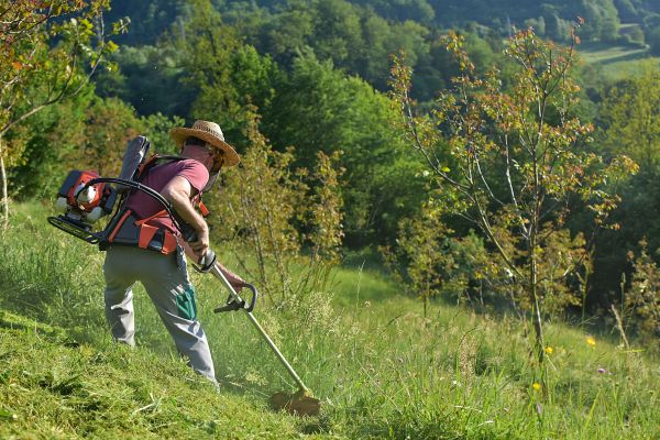 Cost of Slope Trimming in Dunnellon