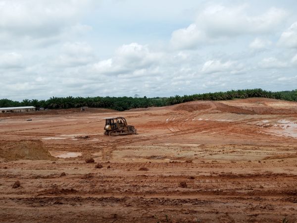 Cost of Land Preparation Service in Dunnellon